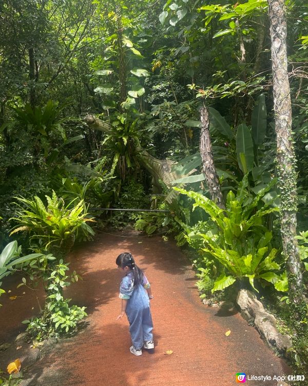 沖繩親子好去處🦖恐龍迷必到🦖山原之森·亞熱帶恐龍主題森林公園