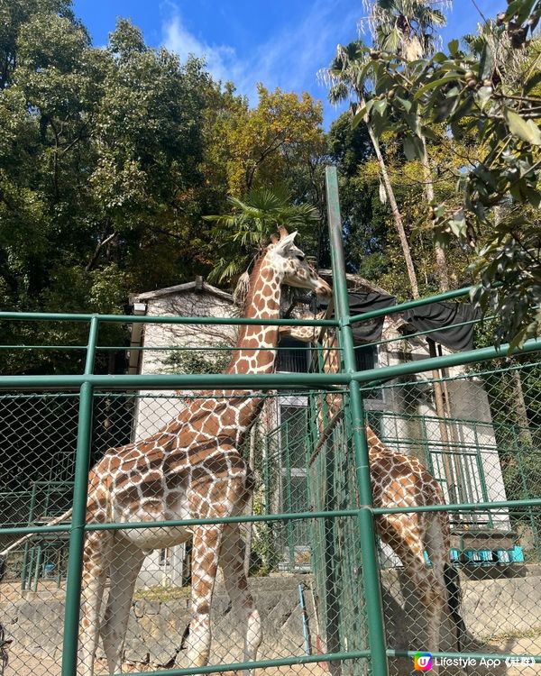 福岡市動植物園