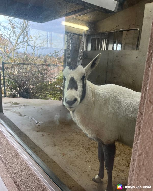 福岡市動植物園