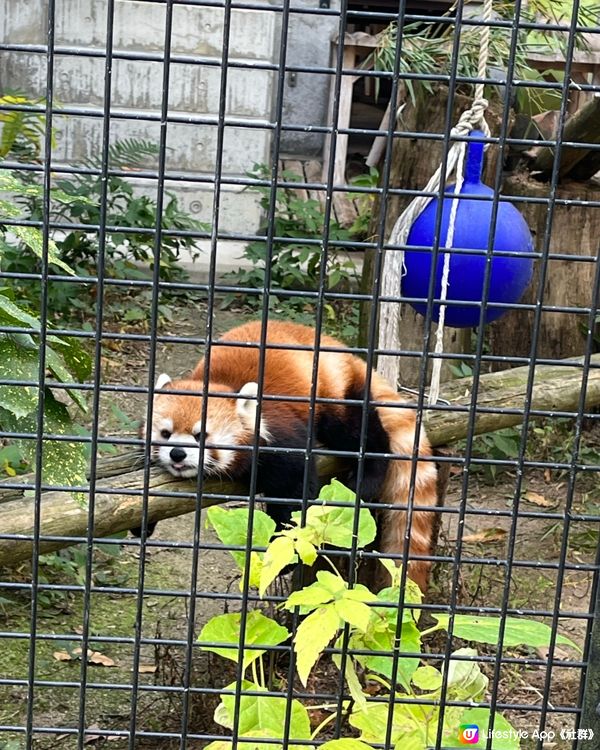 福岡市動植物園