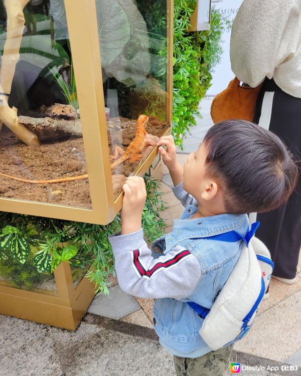 朝聖可愛棒棒糖公園