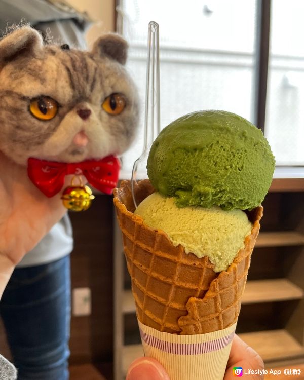 🇯🇵世界最濃抹茶雪糕🍵🍦