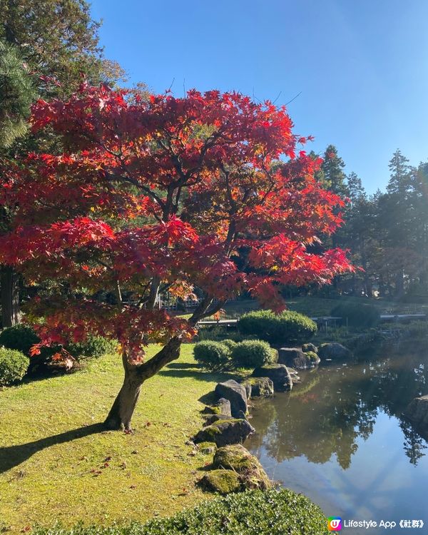 🛫《開始plan吓》🍁秋季旅行～青森庭園打卡& Cafe 🥰