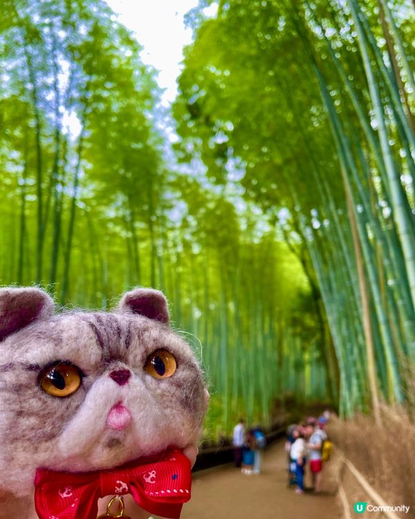 女生好物體驗包