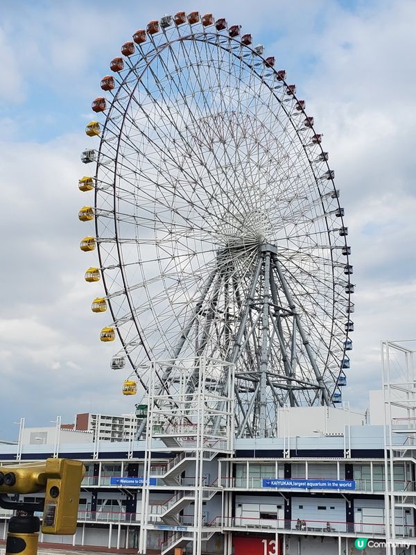 大阪京都六天遊