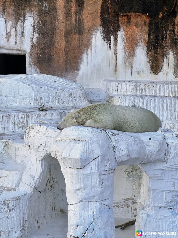 大阪動物園