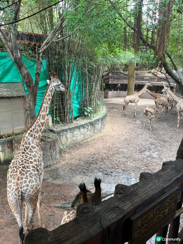 長鹿農莊旅行團