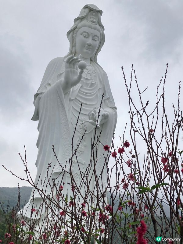 大埔慈山寺的一個下午