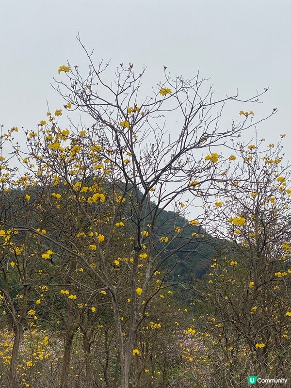 西樵山風景區