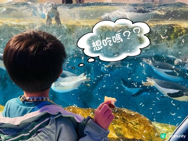 OP 尋「奇」記 🐧