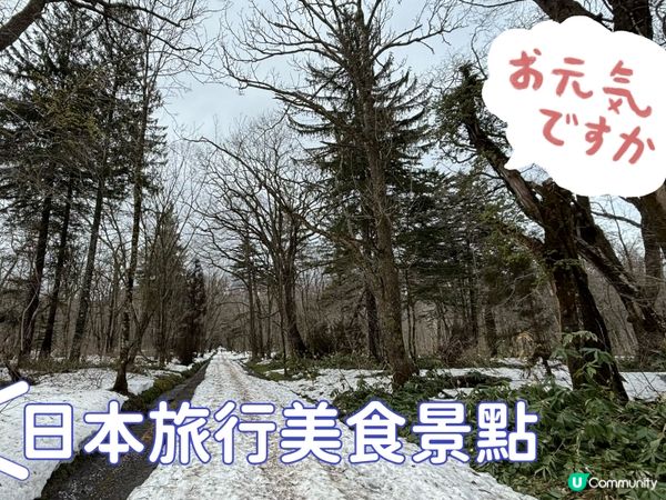 日本景點真係好好多,而且四季分明如果你都鍾意我嘅分享如果都鍾...