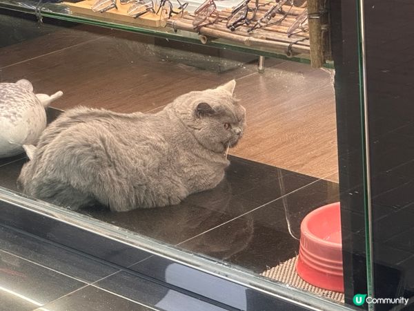 對視