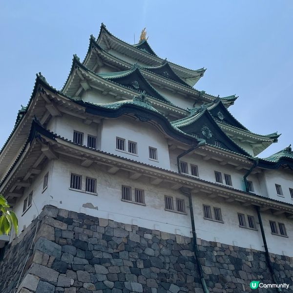 🇯🇵日本三大名城之一 名古屋城🏯
