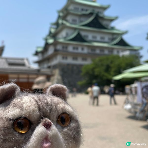 🇯🇵日本三大名城之一 名古屋城🏯