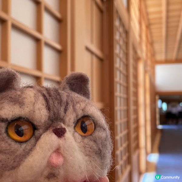 🇯🇵日本三大名城之一 名古屋城🏯