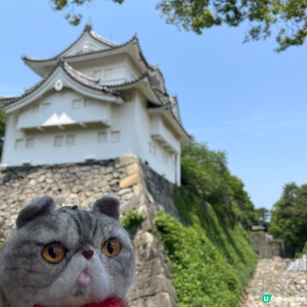 🇯🇵日本三大名城之一 名古屋城🏯