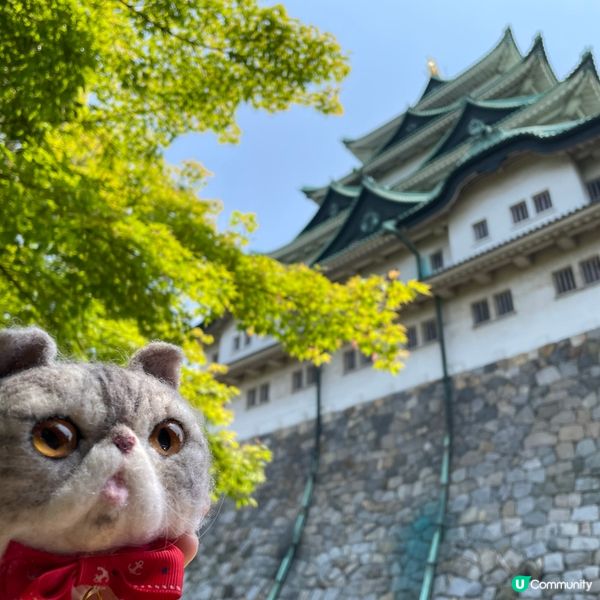 🇯🇵日本三大名城之一 名古屋城🏯