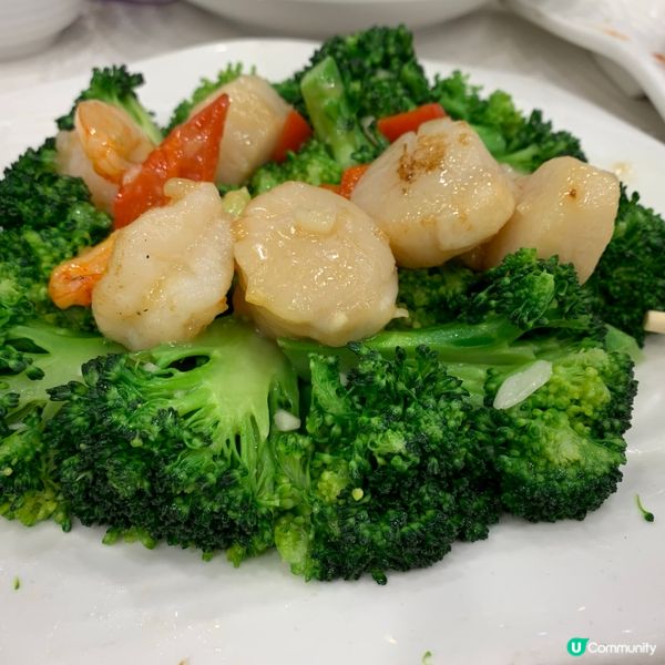 一家人沙田麗豪酒店晚飯記🥳！燒鵝正！