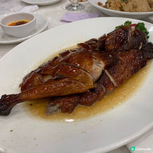 一家人沙田麗豪酒店晚飯記🥳！燒鵝正！