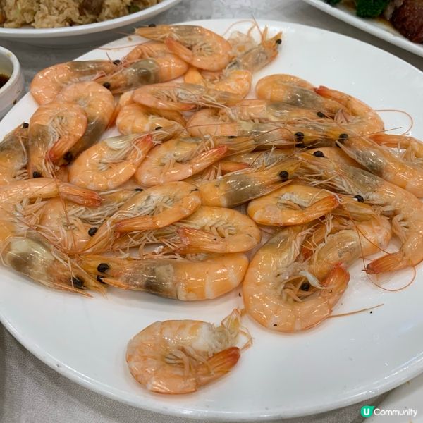 一家人沙田麗豪酒店晚飯記🥳！燒鵝正！