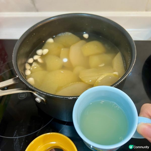 蘋果雪梨水🍎🍐！懶人必備滋潤湯水！😋