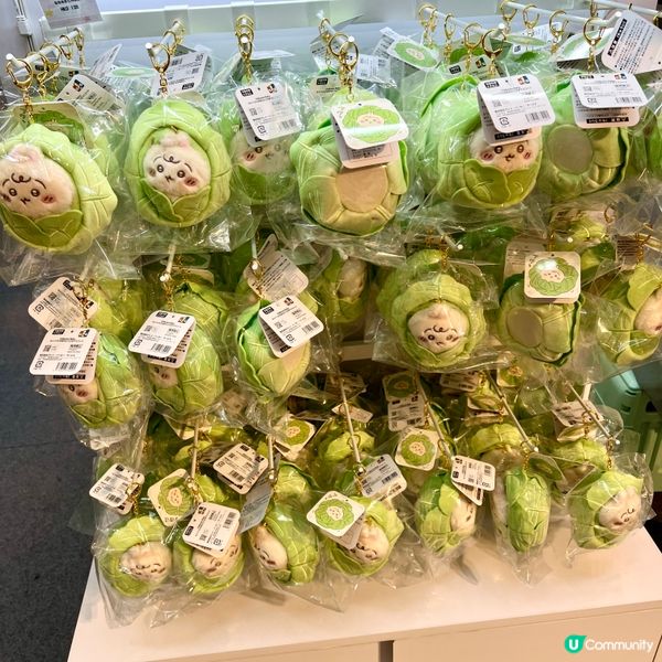 朝聖開心！🐰✨