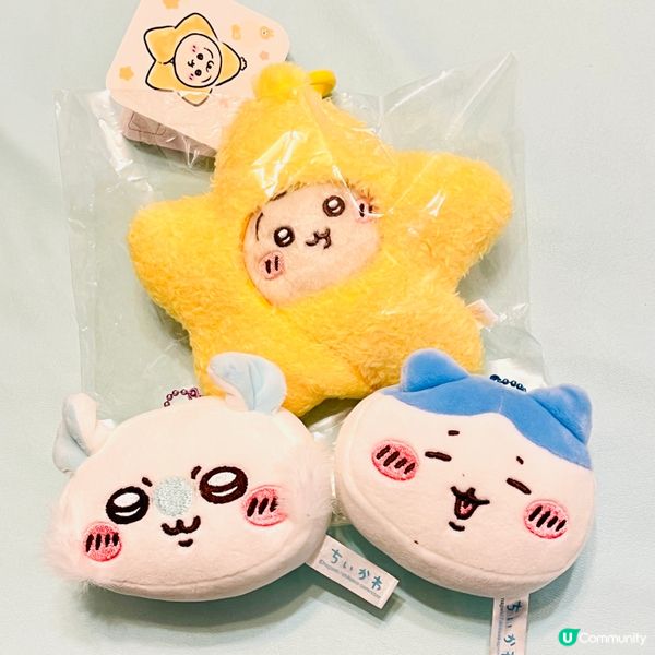 朝聖開心！🐰✨