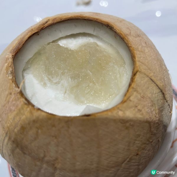 $33 燕窩鮮奶燉椰皇