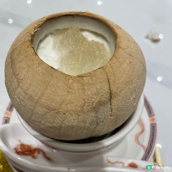 $33 燕窩鮮奶燉椰皇