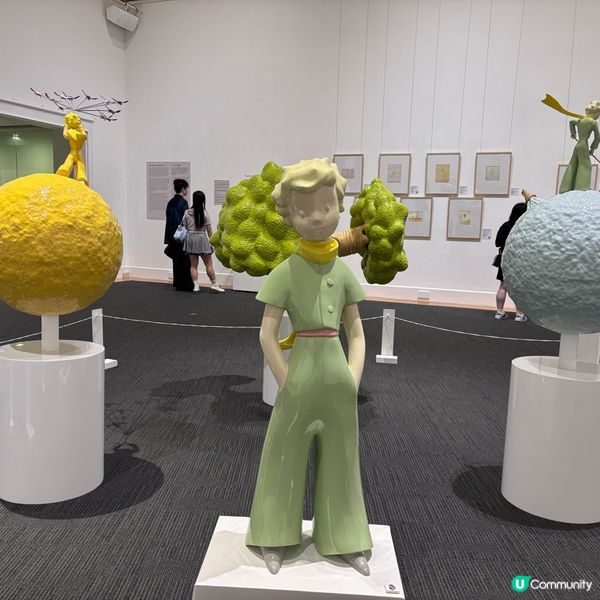 香港/香港大學美術博物館「小王子與飛行員」80週年特展✨📸