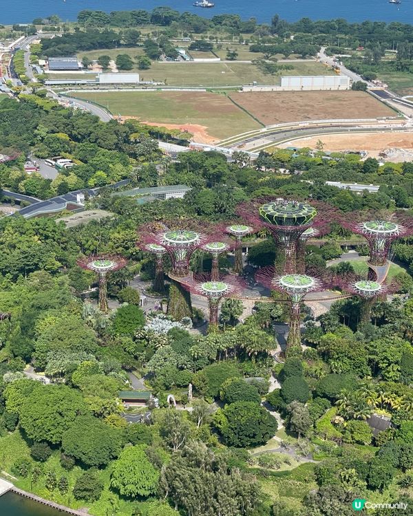 新加坡金沙57樓空中花園