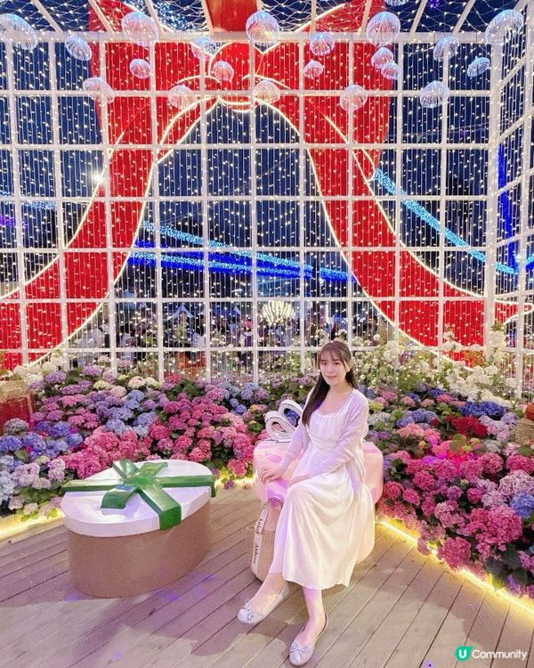 🌸花展中的巨型禮物盒🎁