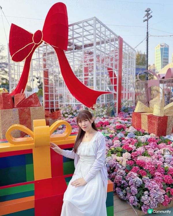 🌸花展中的巨型禮物盒🎁