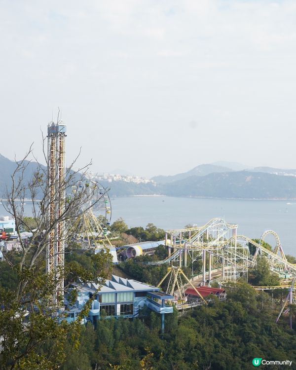 刺激好玩又浪漫💖海洋公園情人節攻略