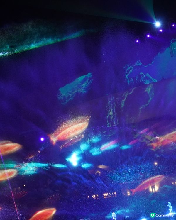 刺激好玩又浪漫💖海洋公園情人節攻略