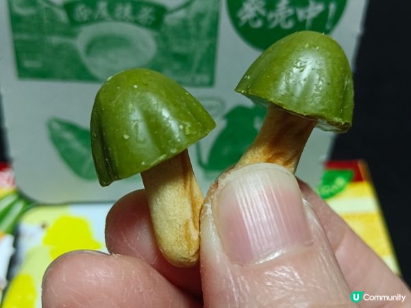 宇治抹茶味きのこの山