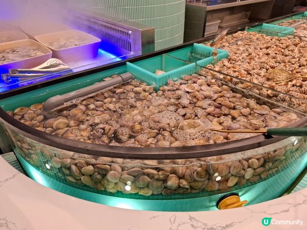 任飲任食水產邊爐兼放題