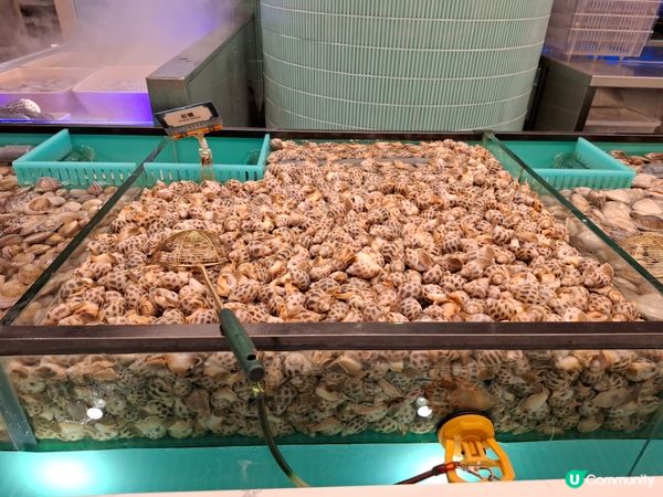 任飲任食水產邊爐兼放題