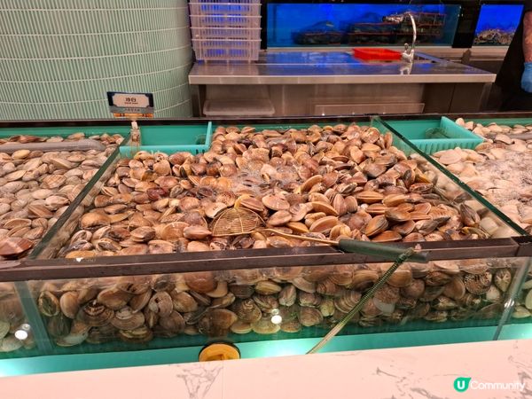 任飲任食水產邊爐兼放題