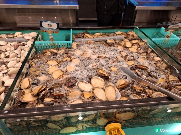 任飲任食水產邊爐兼放題