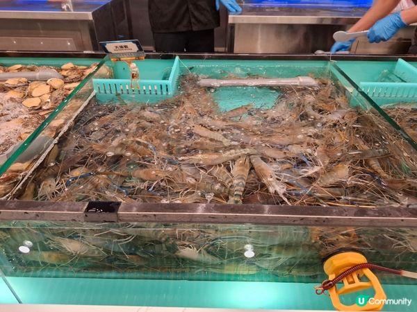 任飲任食水產邊爐兼放題