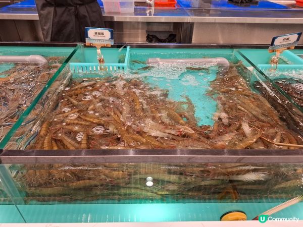 任飲任食水產邊爐兼放題