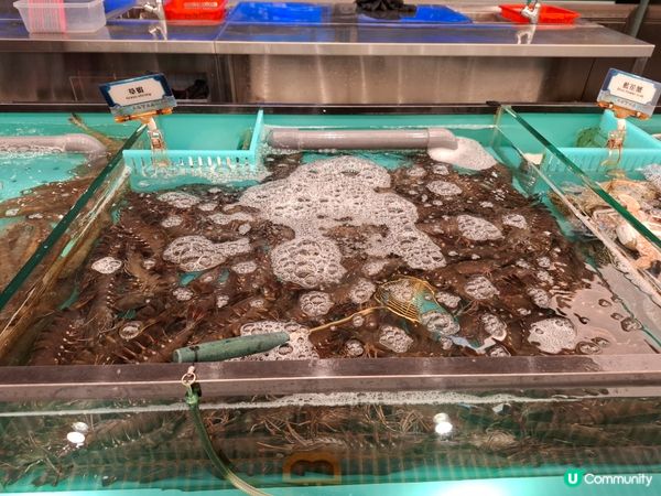 任飲任食水產邊爐兼放題