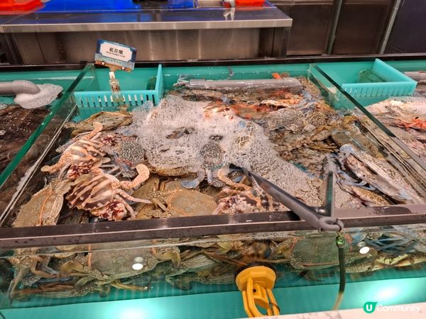 任飲任食水產邊爐兼放題