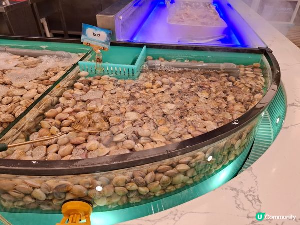 任飲任食水產邊爐兼放題