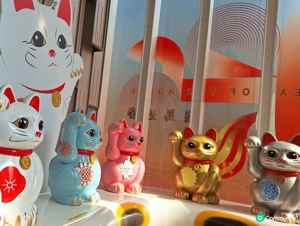 最近我去咗SOGO打卡嗰隻巨型招財貓，真係好震撼！佢高達4....