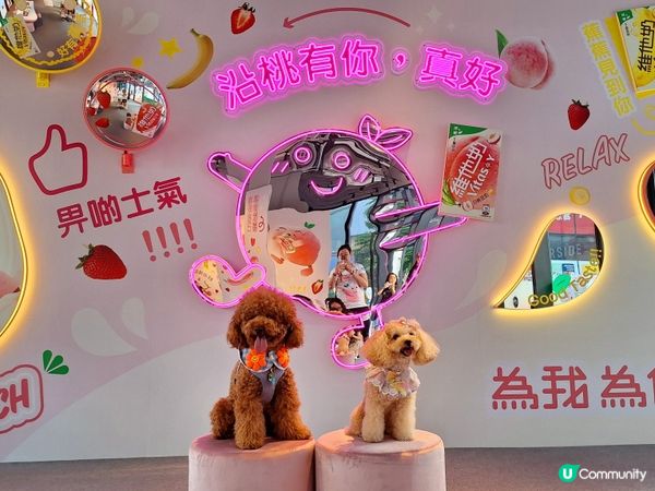 ## 🍑桃好心意牆，寫低你窩❤️