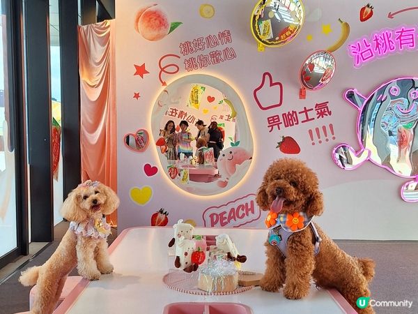 ## 🍑桃好心意牆，寫低你窩❤️