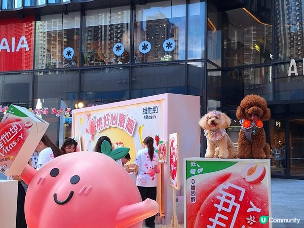 ## 🍑桃好心意牆，寫低你窩❤️