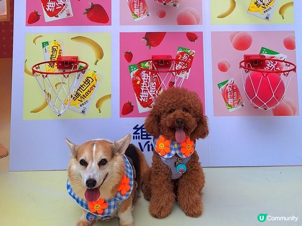 ## 🍑桃好心意牆，寫低你窩❤️